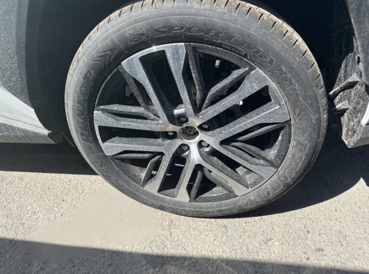 Toyota Wildlander 2026