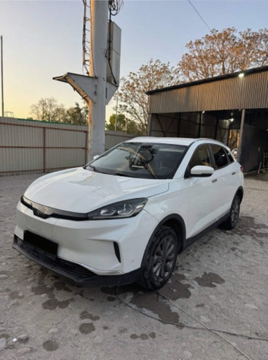 Weltmeister EX5 2021