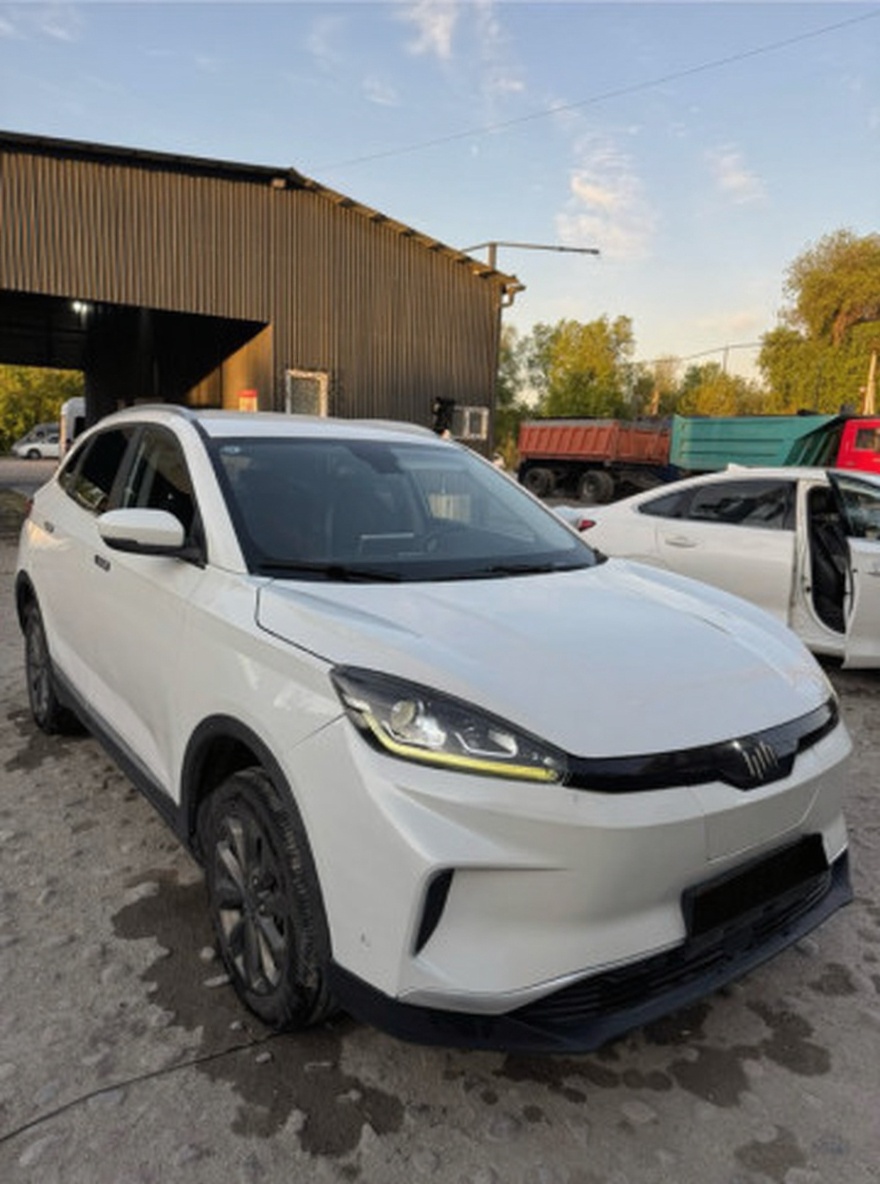 Weltmeister EX5 2021