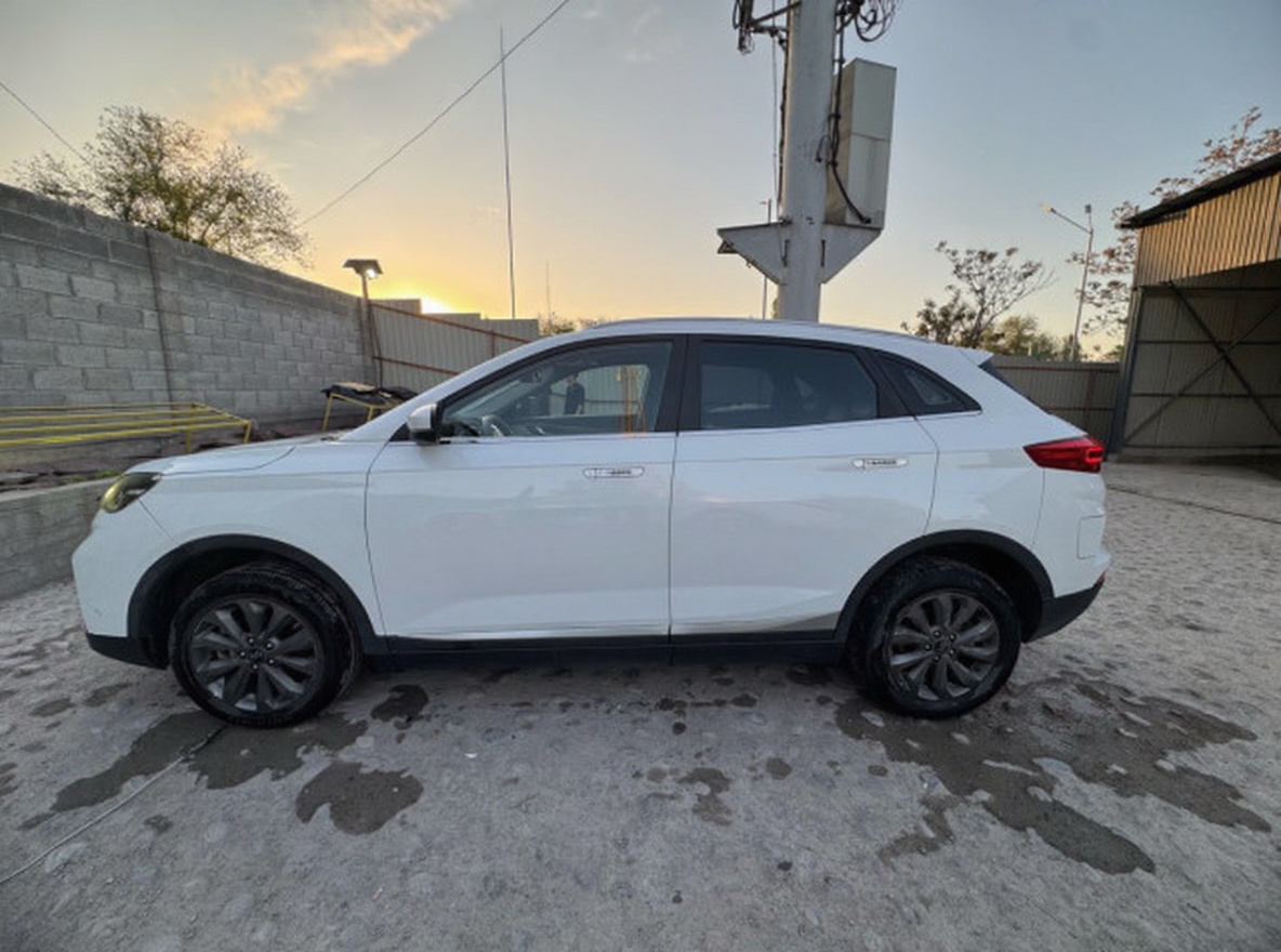 Weltmeister EX5 2021