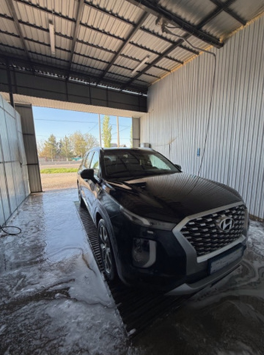 Hyundai Palisade 2020