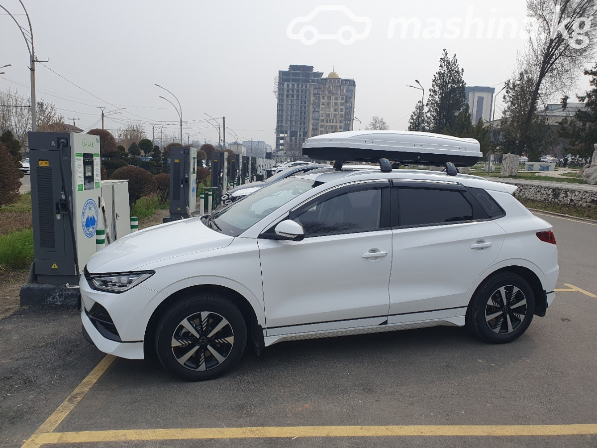 BYD E2