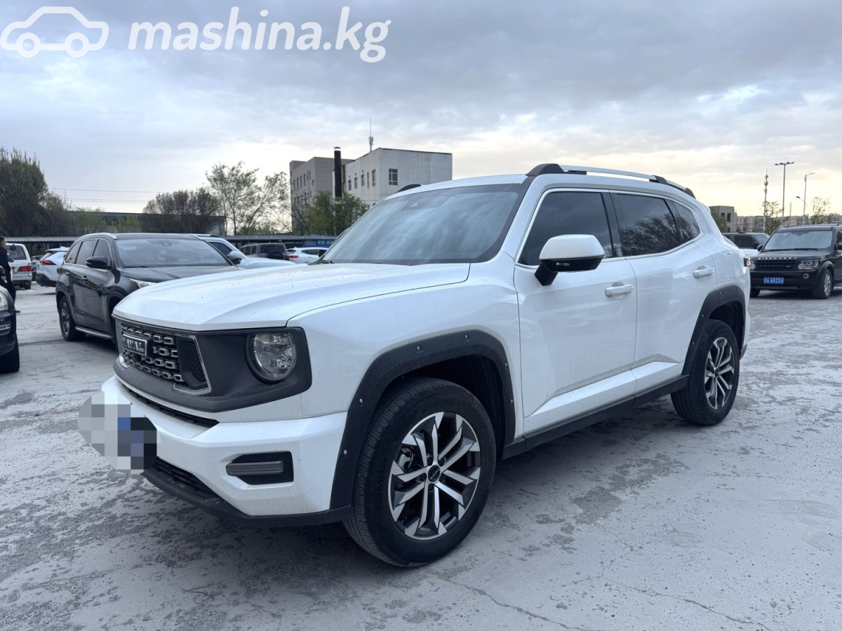 Haval DaGou (Big Dog)