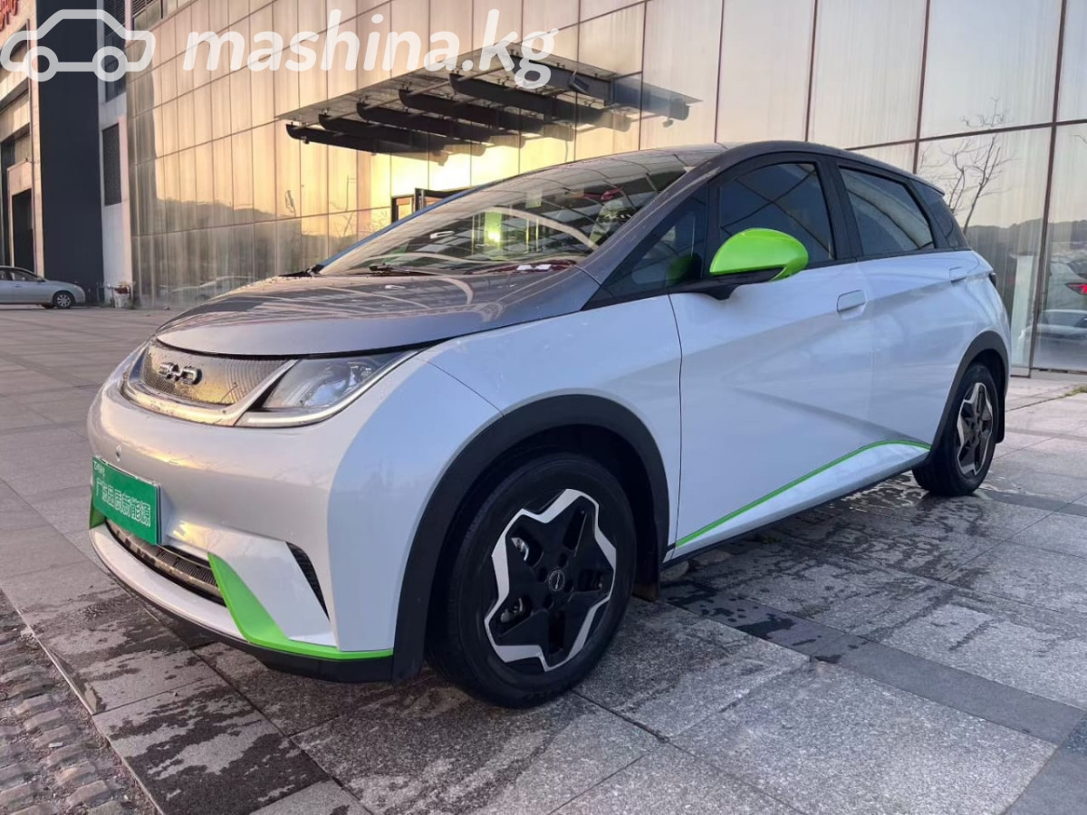 BYD Dolphin