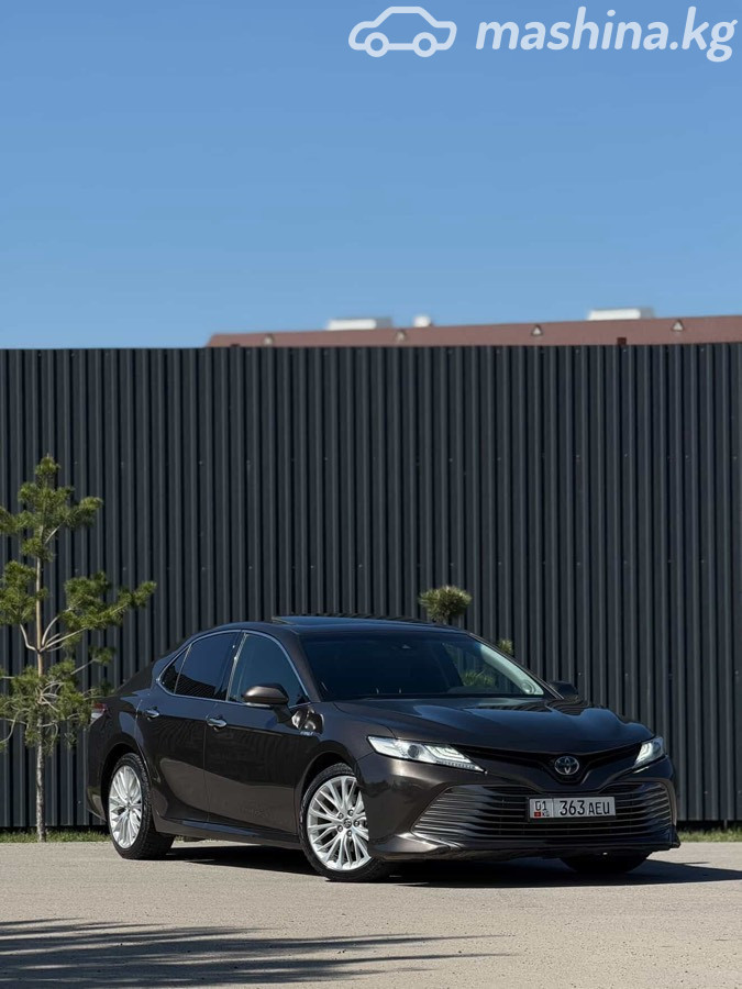 Toyota Camry (Japan)