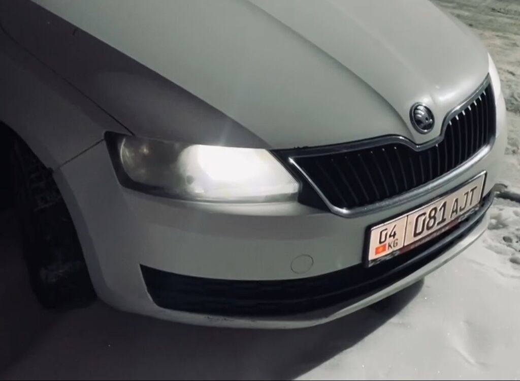 Skoda Rapid