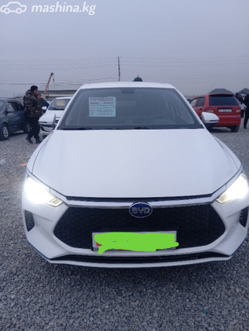BYD E2