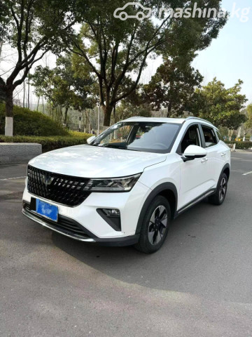 Wuling Xingchi