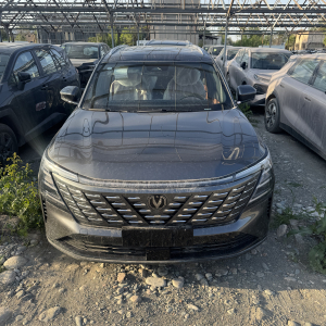 Changan Qiyuan Q05