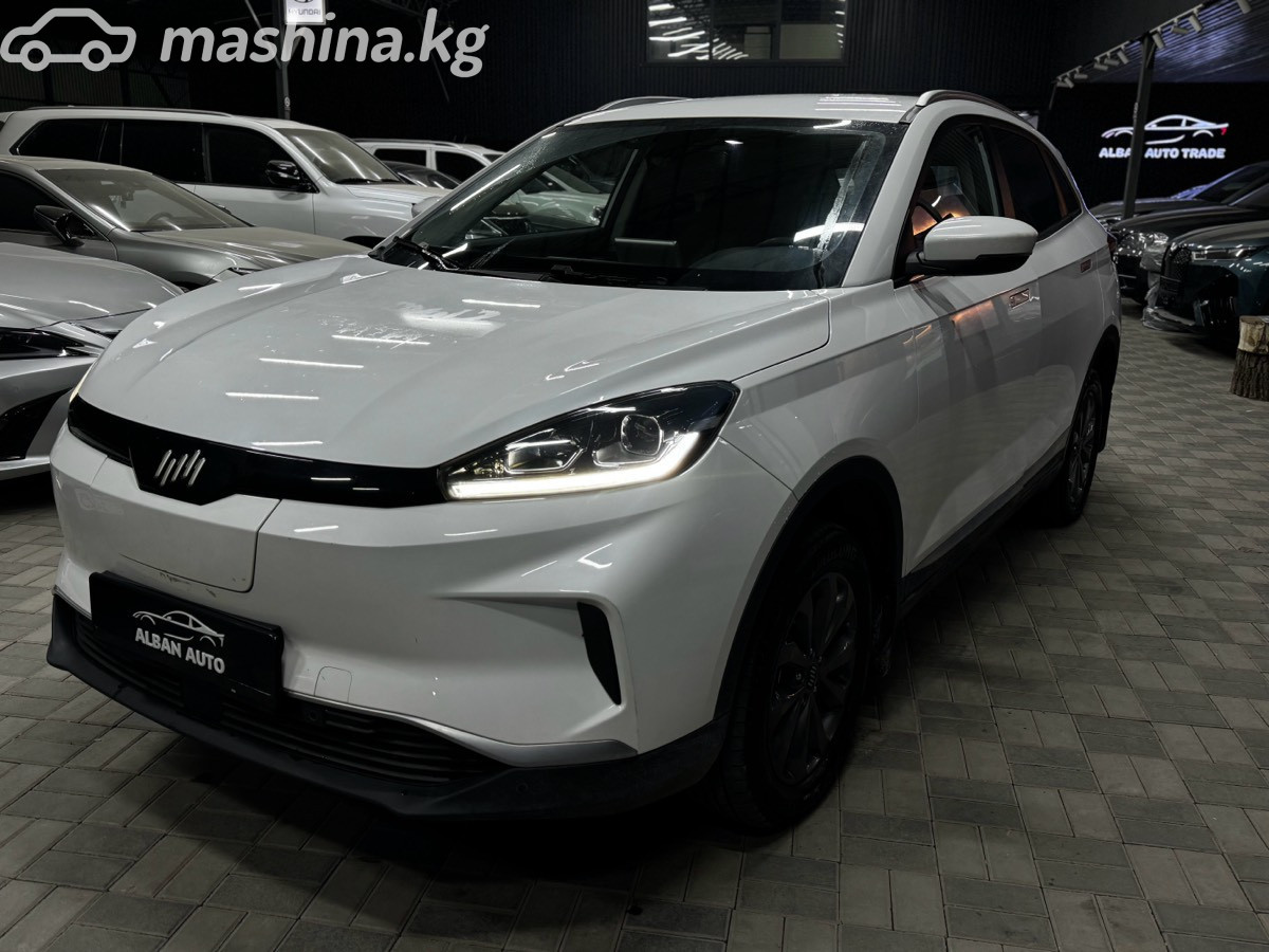 Weltmeister EX5
