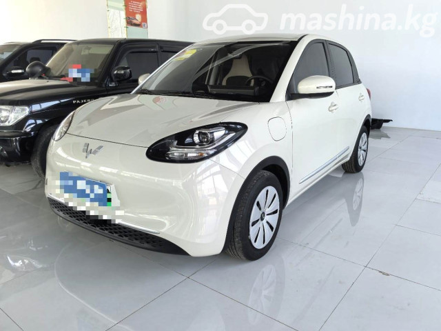 Wuling Binguo