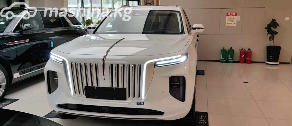 Hongqi E-HS9