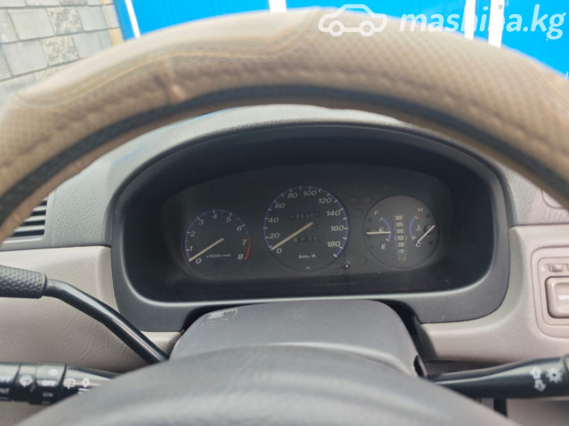 Слайд #12