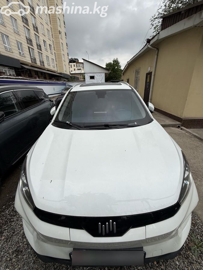 Weltmeister EX5