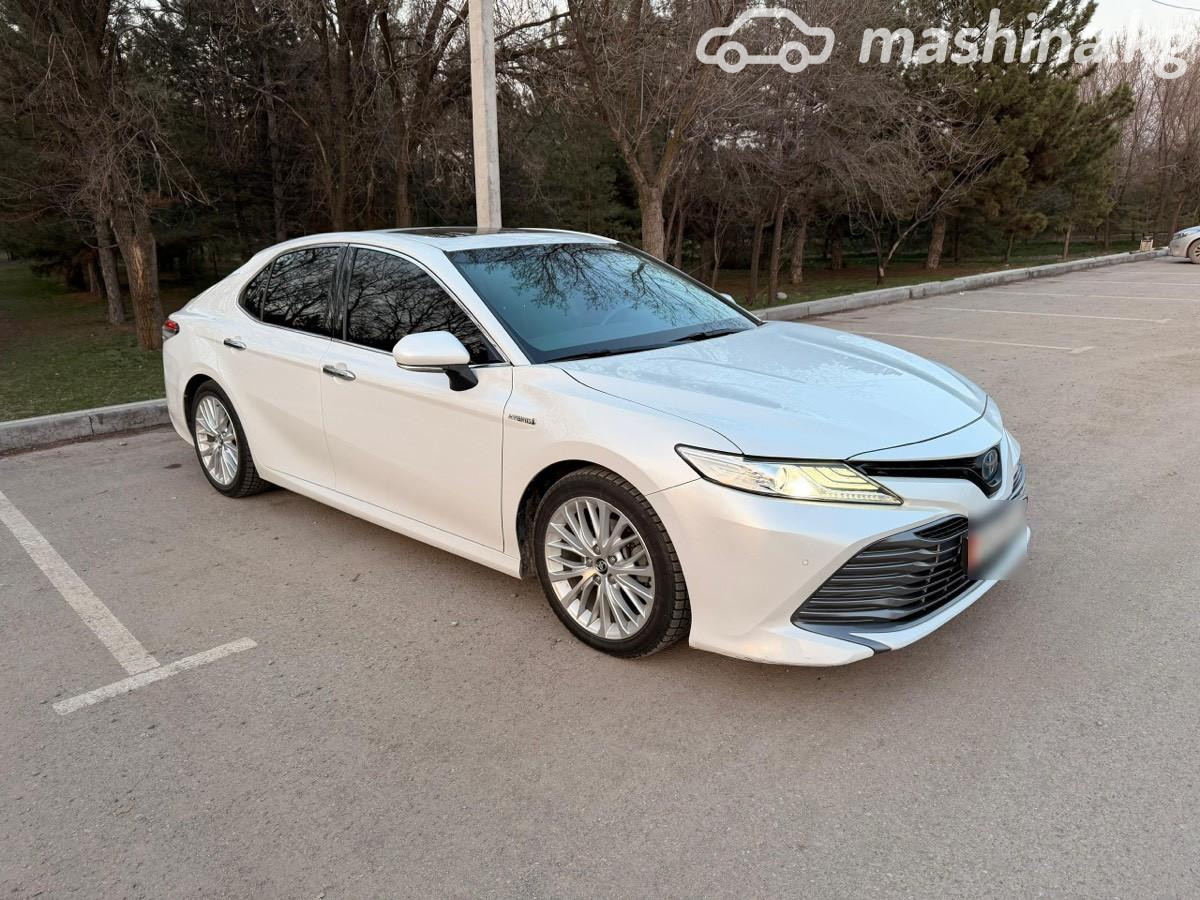 Toyota Camry (Japan)