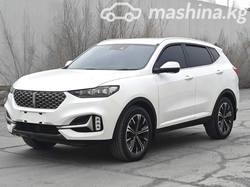 Wey VV6