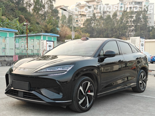 BYD Sea Lion 07