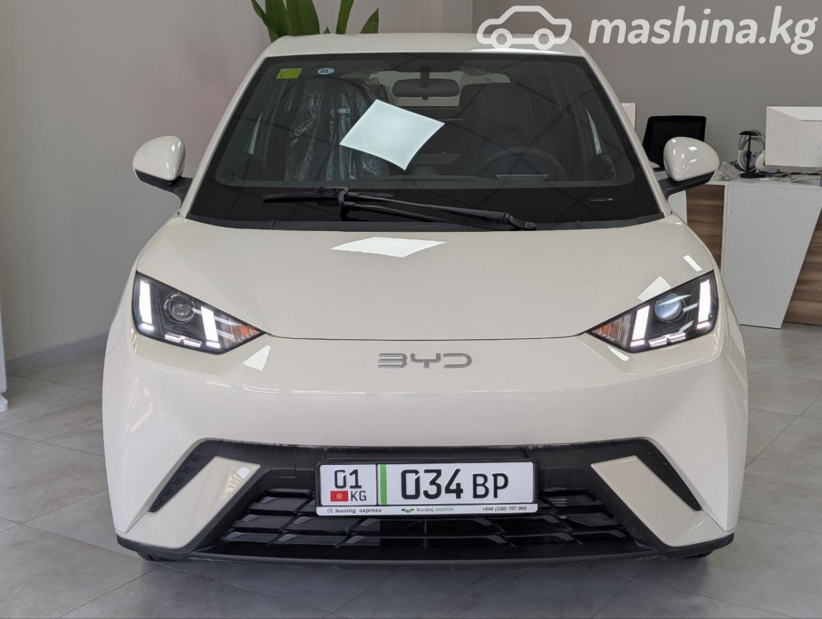 BYD Seagull