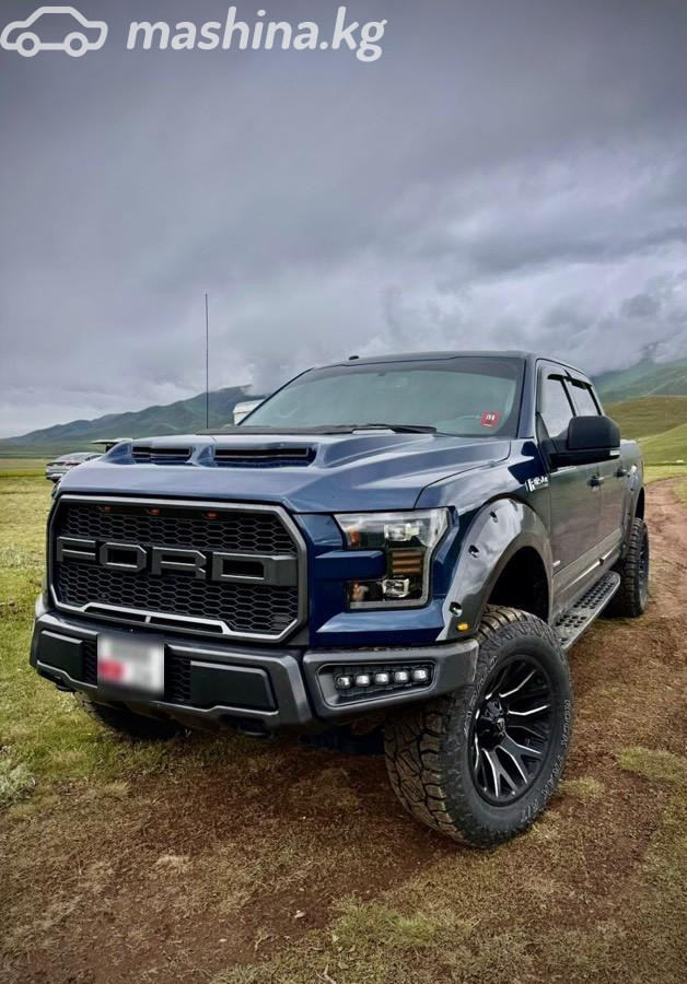 Ford F-150 XIII