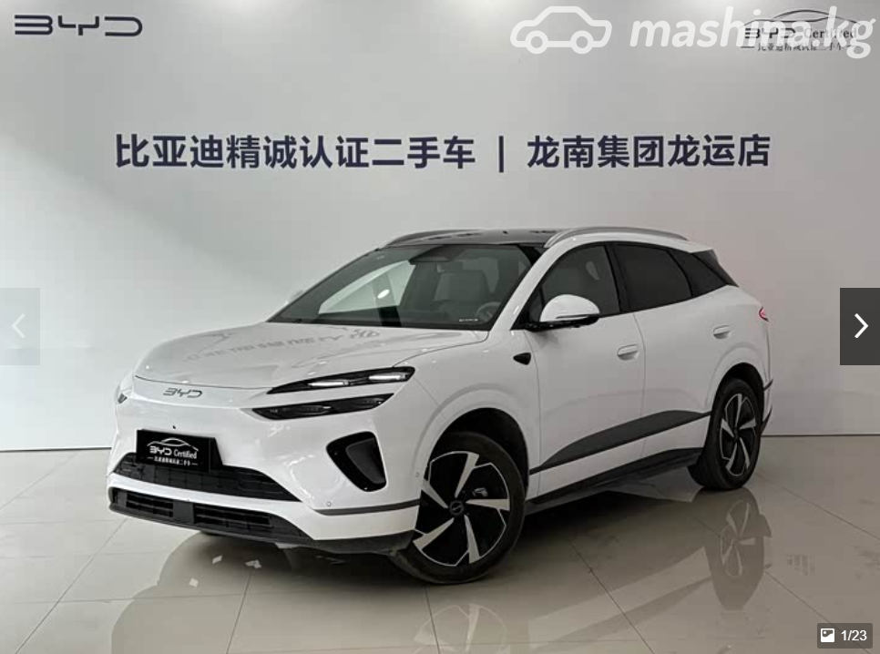 BYD Sea Lion 06