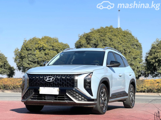 Hyundai Mufasa