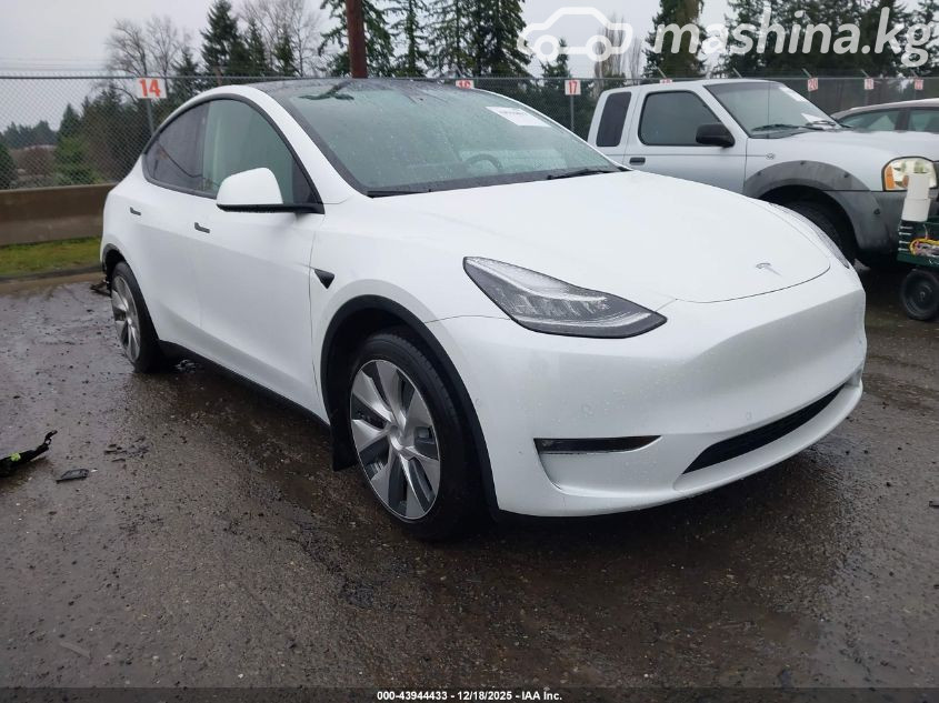 Tesla Model Y I