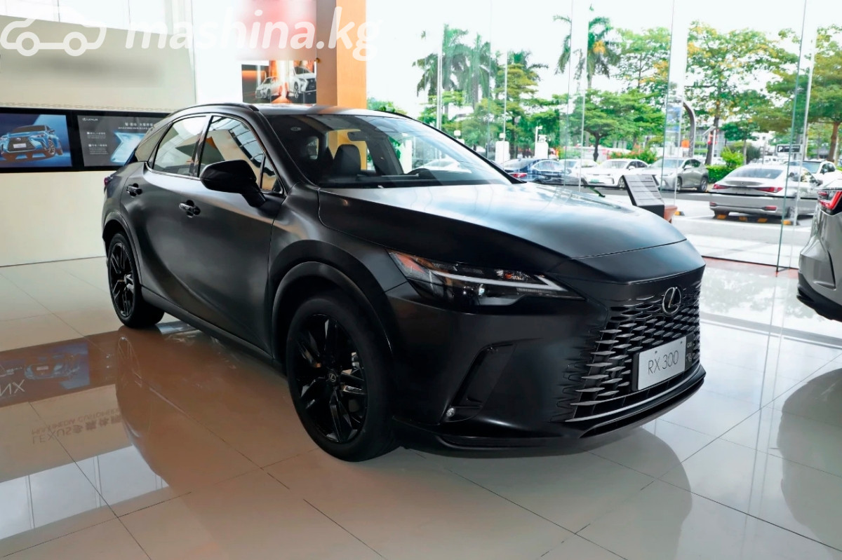 Lexus RX V