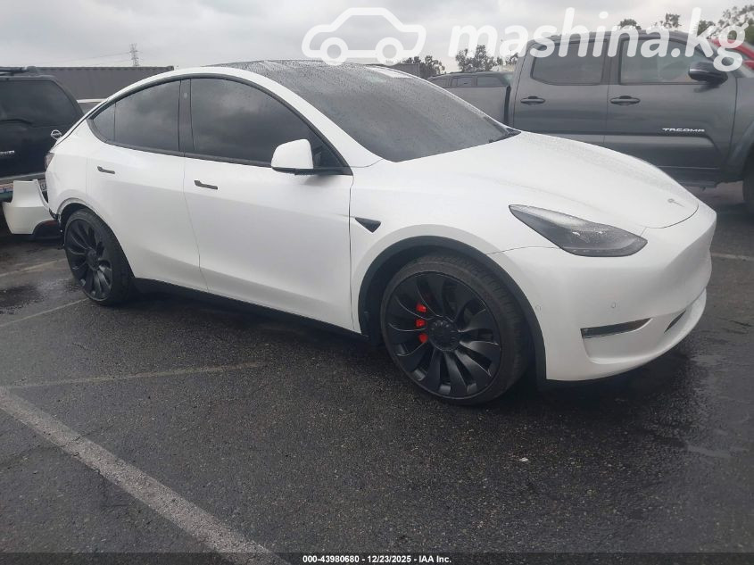 Tesla Model Y I