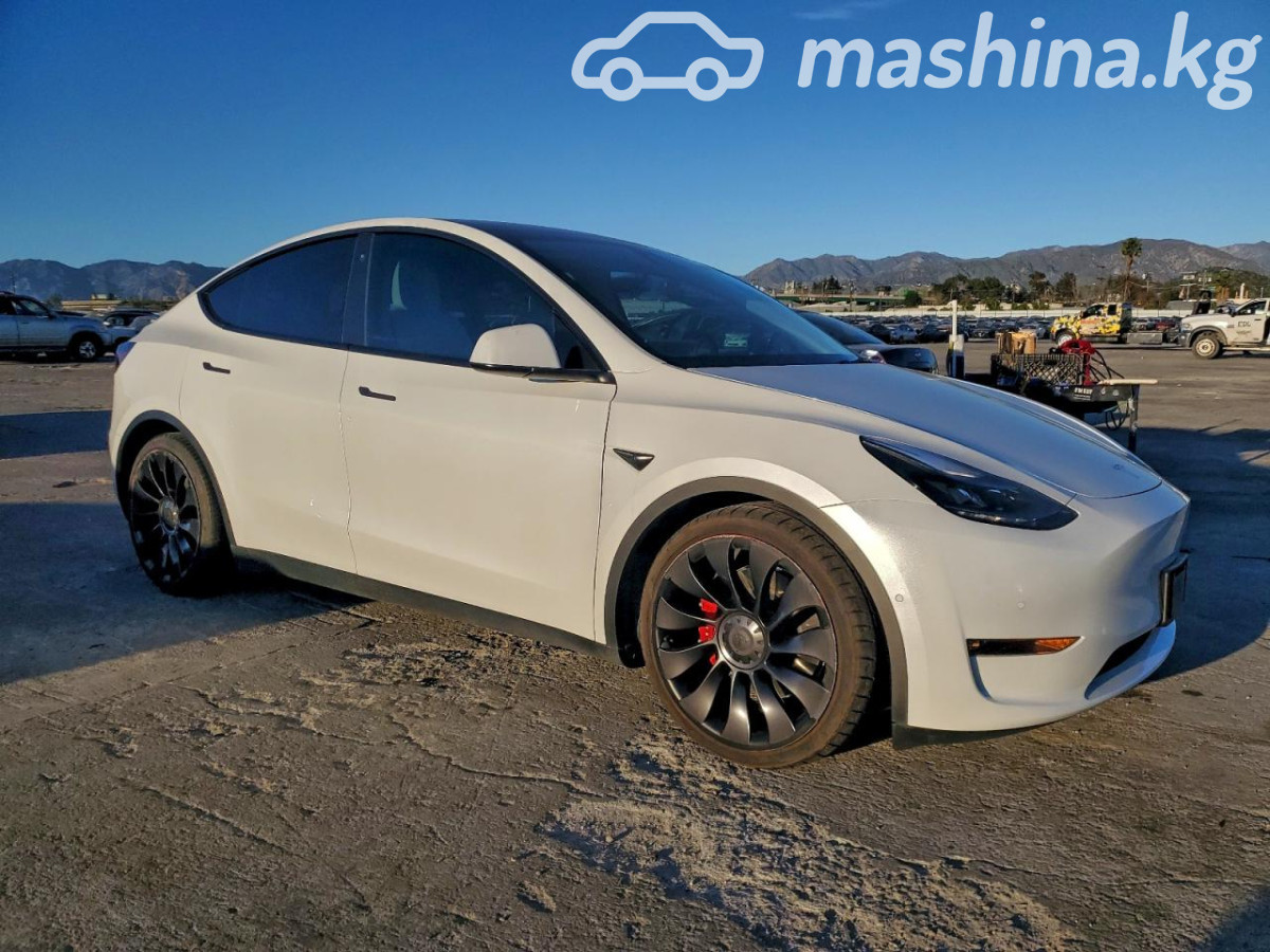 Tesla Model Y I