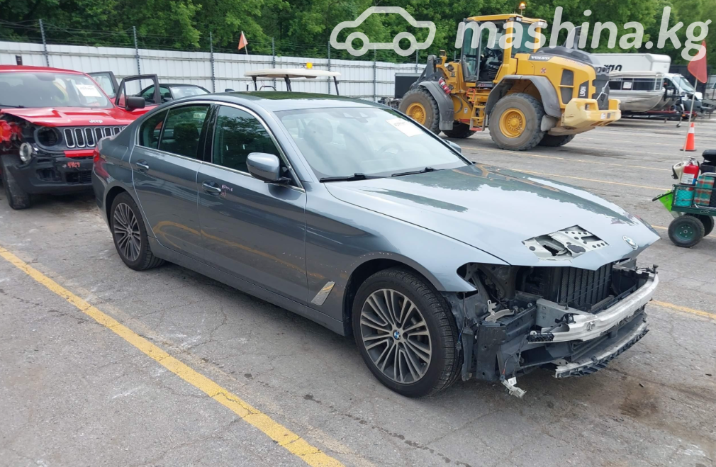 BMW 5 серии VII (G30/G31)