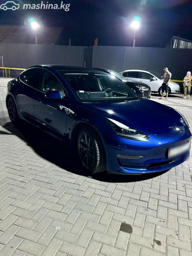 Tesla Model 3 I