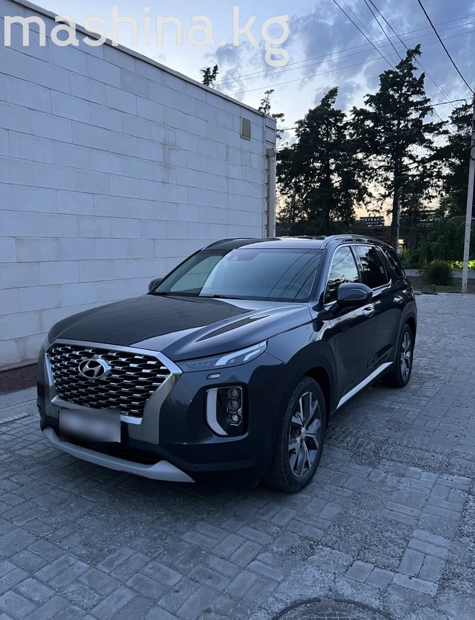 Hyundai Palisade I 2019