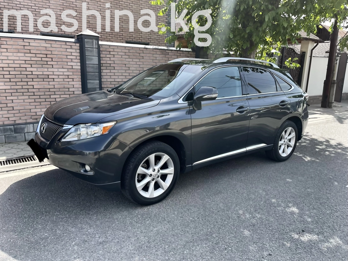 Lexus RX III 2009