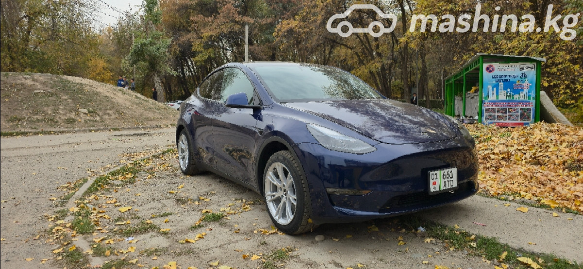 Tesla Model Y I