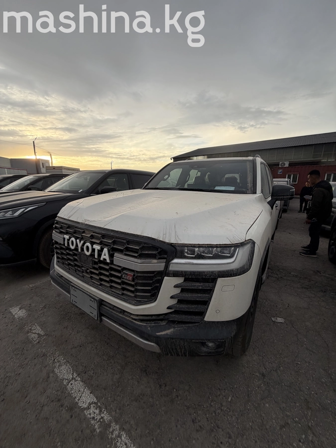 Toyota Land Cruiser 300 Series 2025