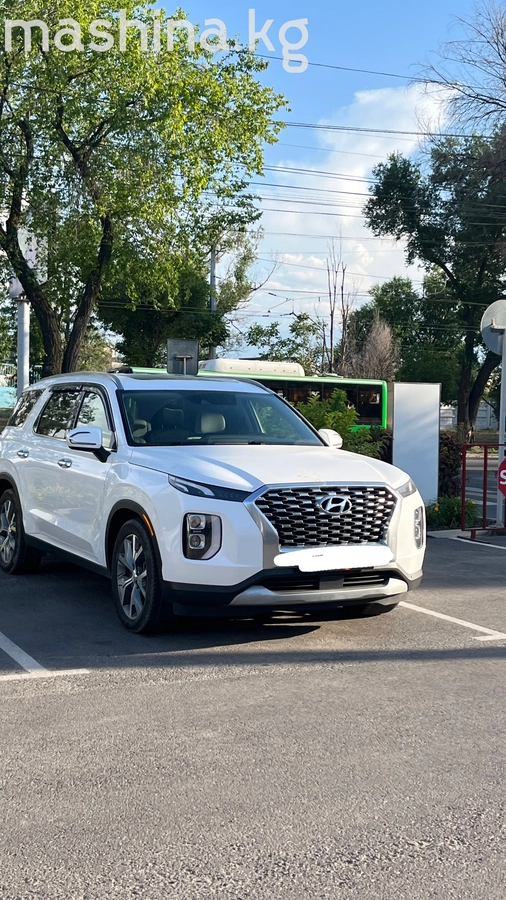 Hyundai Palisade I 2020
