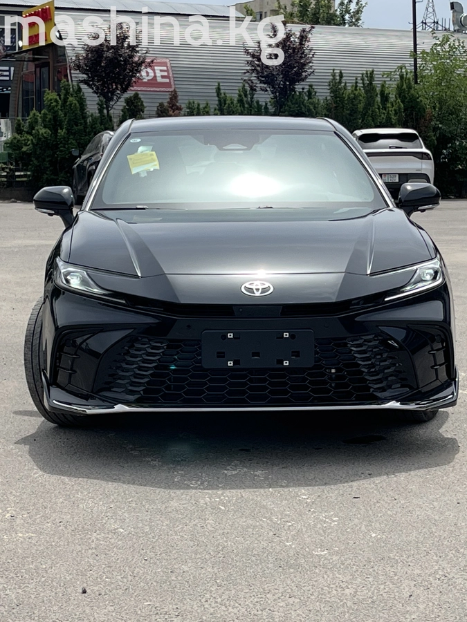 Toyota Camry IX (XV80) China Market