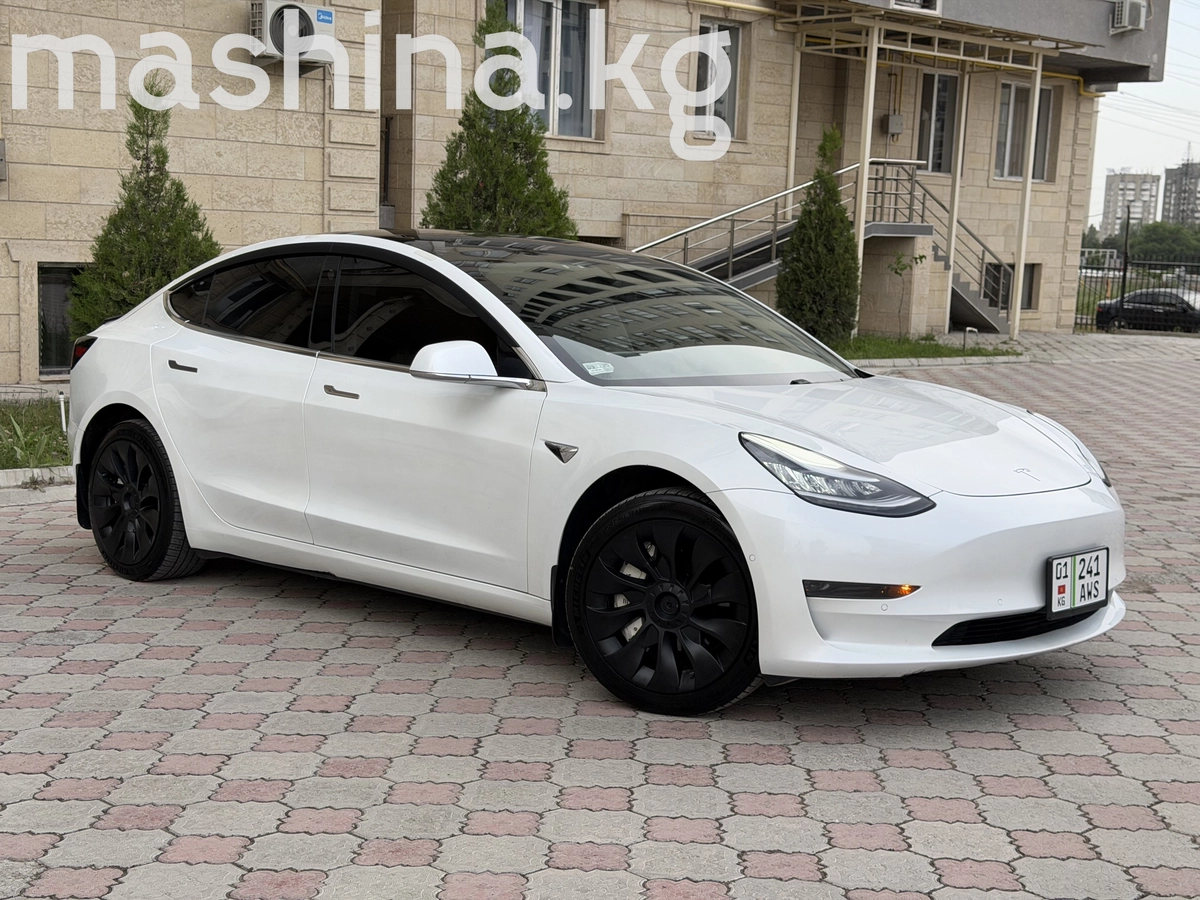Tesla Model 3 I 2021