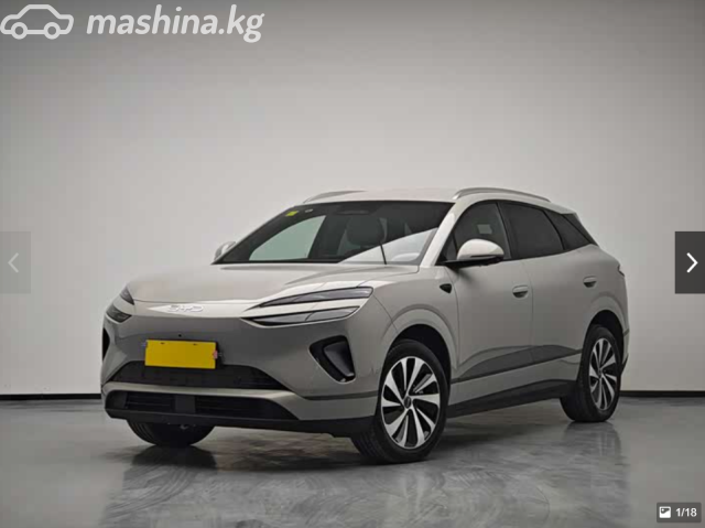 BYD Sea LIon 06