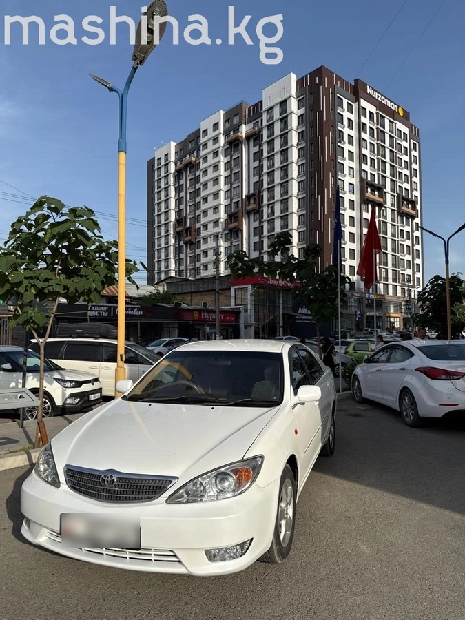 Toyota Camry V (XV30) 2002
