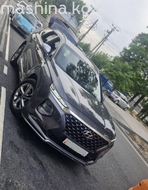Hyundai Santa Fe IV 2019