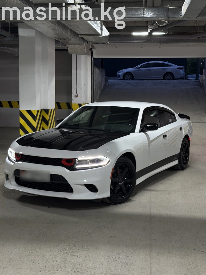 Фото 4