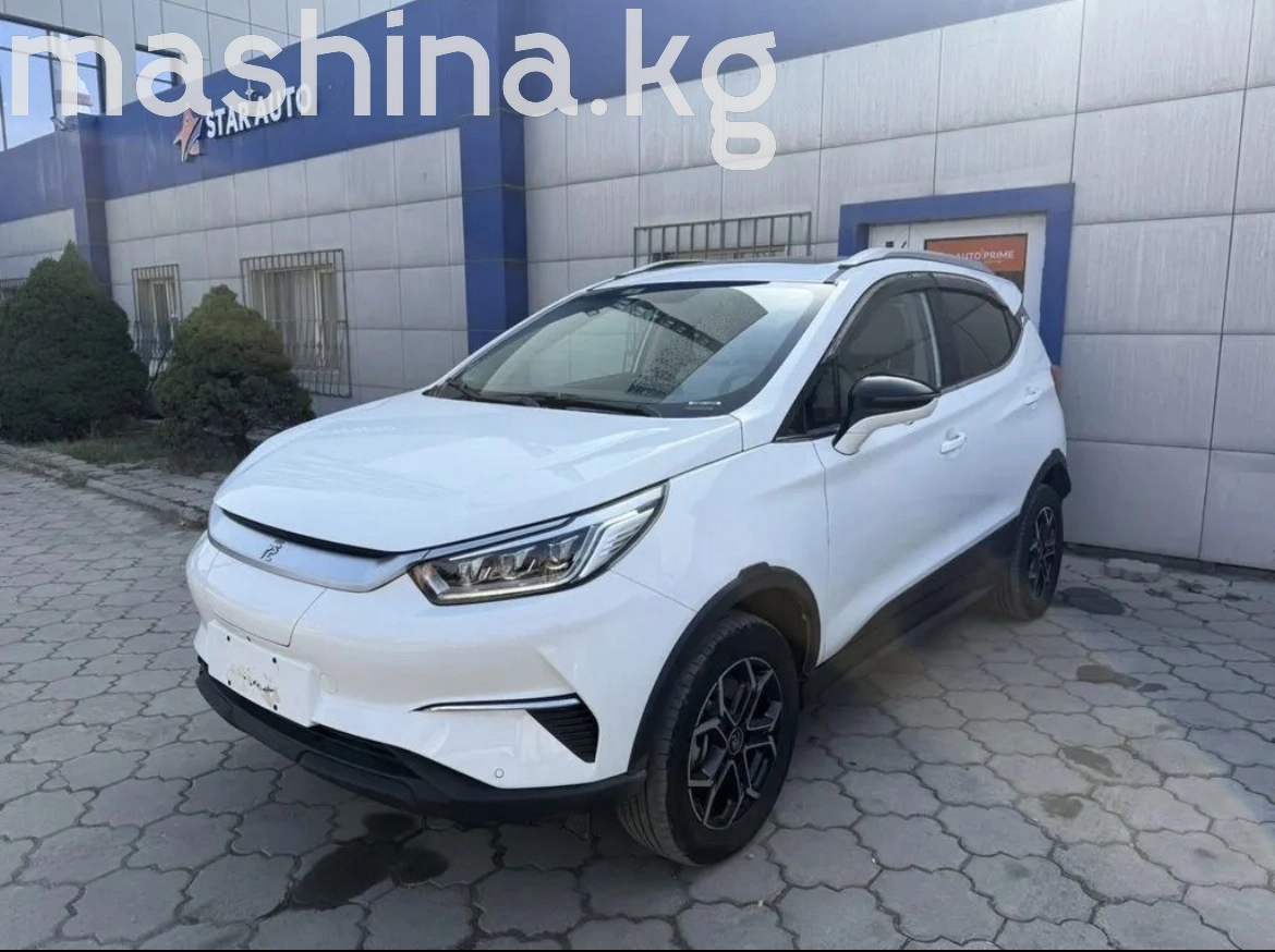 BYD Yuan Pro 2021