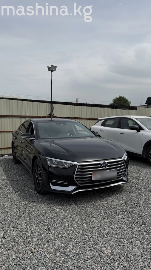 BYD E9 2021