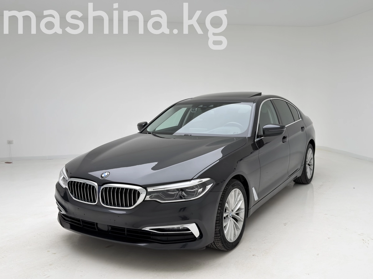BMW 5 серии VII (G30/G31) 2019