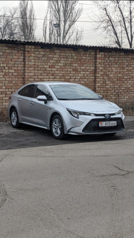 Toyota Levin