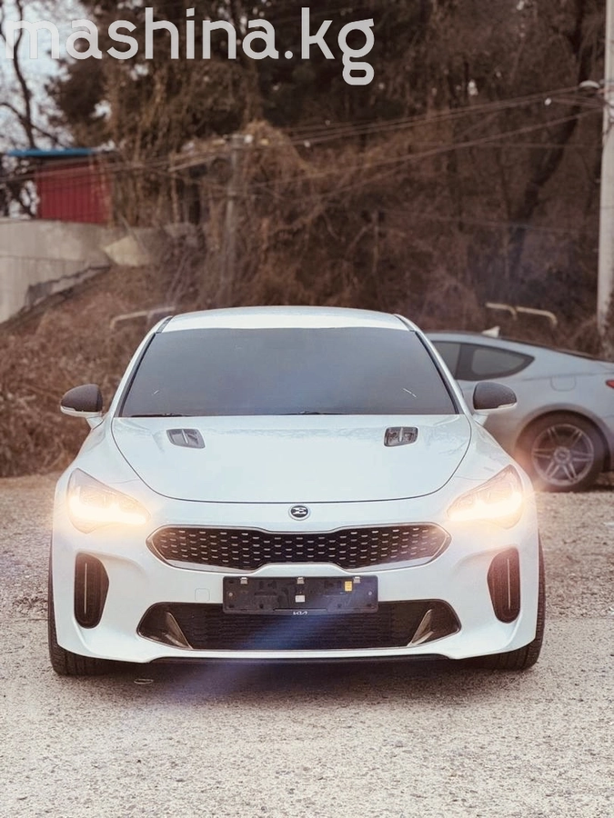 Kia Stinger I 2019