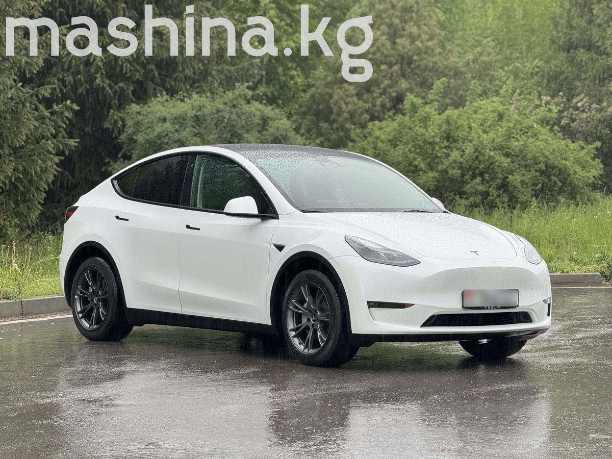 Tesla Model Y I 2023