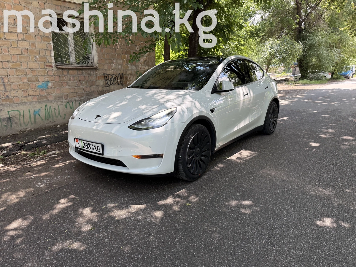 Tesla Model Y I 2021