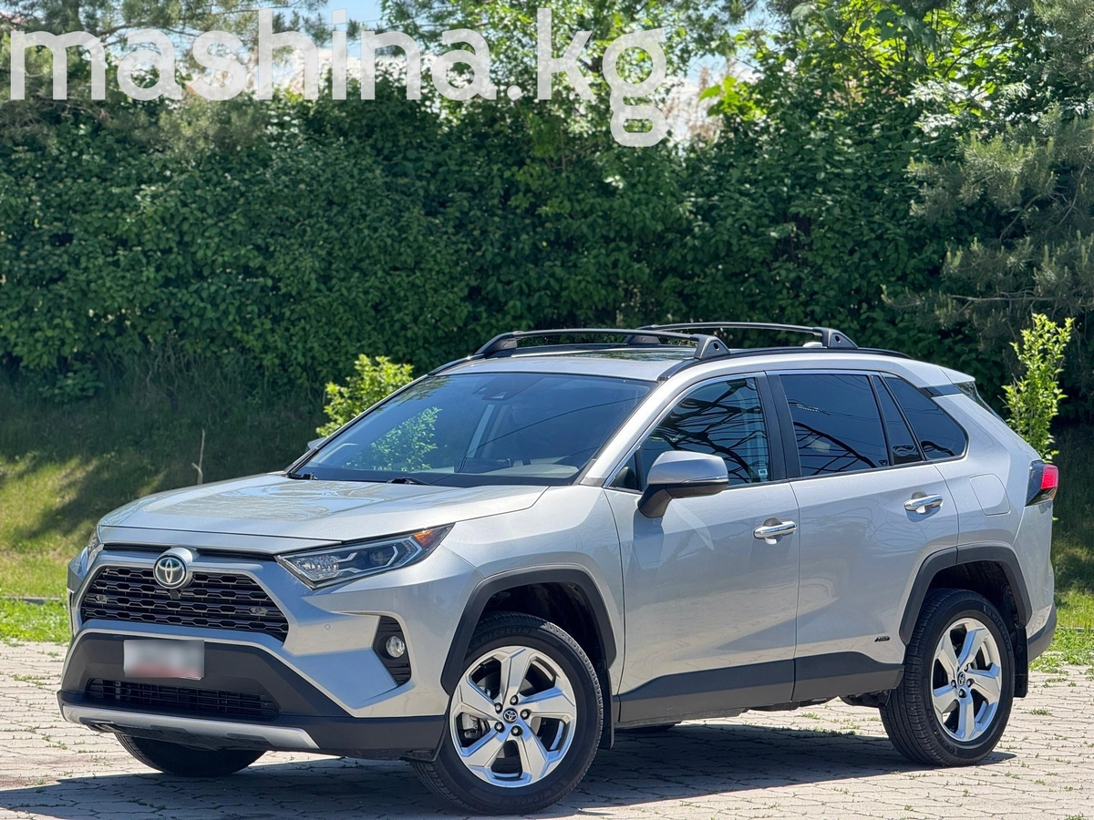 Toyota RAV4 V (XA50) 2020